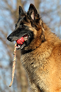 DPP_4982 Kopie.jpg